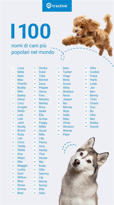 100 nomi per cani maschi|nomi cani femmine.